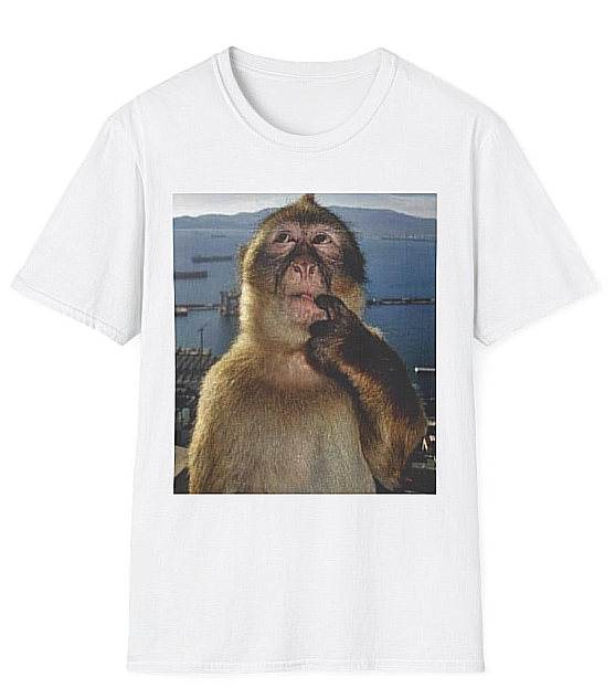 monkey t shirt